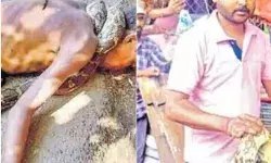 ईश्वर के नाम पर पैसे मांग रहे व्यक्ति को अजगर ने ऐसे सुला दिया मौत... ईश्वर के नाम पर पैसे मांग रहे व्यक्ति को अजगर ने ऐसे सुला दिया मौत...