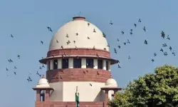 बुलडोजर एक्शन के खिलाफ सुप्रीम कोर्ट पहुंची जमीयत उलेमा बुलडोजर एक्शन के खिलाफ सुप्रीम कोर्ट पहुंची जमीयत उलेमा