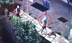 अंडरवियर गैंग का घरों पर धावा- लाखों के सोने के साथ केले भी ले गए अंडरवियर गैंग का घरों पर धावा- लाखों के सोने के साथ केले भी ले गए