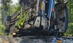 टर्न लेते समय बिजली के पोल से टकराई बस पलटी- सवारियों में हाहाकार