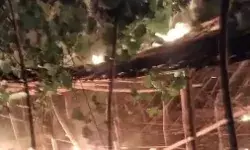 पोल्ट्री फार्म में लगी आग- मुर्गियां जलकर हो गई खाक- गांव लोगों पर.... पोल्ट्री फार्म में लगी आग- मुर्गियां जलकर हो गई खाक- गांव लोगों पर....