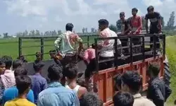 बाघ के हमले से ग्रामीण की मौत- गांव वालों में पहले दहशत- वन विभाग की.. बाघ के हमले से ग्रामीण की मौत- गांव वालों में पहले दहशत- वन विभाग की..