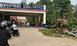 मां का इलाज कराने अस्पताल पहुंचे युवक पर गिरा विशालकाय पेड़ मां का इलाज कराने अस्पताल पहुंचे युवक पर गिरा विशालकाय पेड़