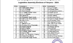 नेताओं के साथ चर्चित रेसलर्स को भी मिली कांग्रेस के स्टार प्रचारक की कमान
