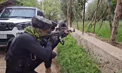 जवानों की शहादत का बदला- बारामूला में तीन, कठुआ में दो आतंकी ढेर जवानों की शहादत का बदला- बारामूला में तीन, कठुआ में दो आतंकी ढेर