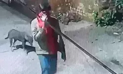 साई मंदिर पर चोरों का धावा- गणेश प्रतिमा, सोने का छत्र, मुकुट और....