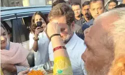 चुनाव के बीच अचानक करनाल पहुंचे राहुल गांधी को देख सभी रह गए भौंचक्का चुनाव के बीच अचानक करनाल पहुंचे राहुल गांधी को देख सभी रह गए भौंचक्का