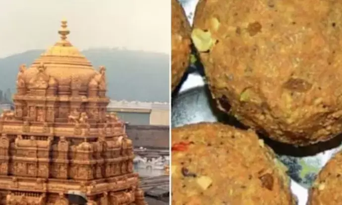 तिरुपति बालाजी में लड्डू प्रसादम की पवित्रता कर दी गई बहाल