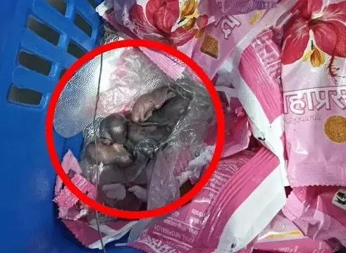 लड्डू प्रसादम के बाद अब सिद्धि विनायक मंदिर के प्रसाद पर विवाद
