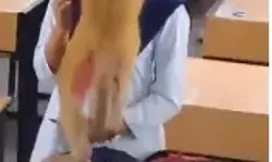 क्लास में घुसे बंदर ने छात्रा को गले लगाया और उसके साथ की खिलंदड़ी क्लास में घुसे बंदर ने छात्रा को गले लगाया और उसके साथ की खिलंदड़ी