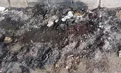 हत्या कर फ्लाईओवर के नीचे सड़क पर जलाई लाश- पुलिस जांच में जुटी