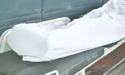 गाय को बचाने के चक्कर में चली गई एक ही परिवार से चार लोगों की जान