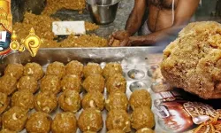 सीएम नायडू पर भड़का सुप्रीम कोर्ट- भगवान को राजनीति से रखे दूर सीएम नायडू पर भड़का सुप्रीम कोर्ट- भगवान को राजनीति से रखे दूर