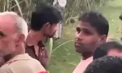 कर्ज से मुक्ति का नहीं मिला कोई समाधान तो किसान ने शीशम के पेड़ से...