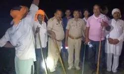 फिर गांव में घुसा भेड़िया- बनाया भैंस के बच्चे को निवाला- ग्रामीणों...