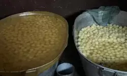 कादिर व तसव्वुर की रसगुल्ला फैक्ट्री पर SDM व CO का झापा- मिला... कादिर व तसव्वुर की रसगुल्ला फैक्ट्री पर SDM व CO का झापा- मिला...