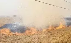 पराली जलाने से नाराज कोर्ट की हरियाणा पंजाब को सुप्रीम फटकार पराली जलाने से नाराज कोर्ट की हरियाणा पंजाब को सुप्रीम फटकार