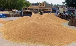 किसानों पर मेहरबान हुई सरकार- गेहूं के MSP में की बढ़ोतरी