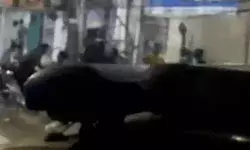 मुंबई से बरामद महिला से अश्लील हरकत- दरोगा लाइन हाजिर