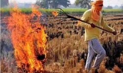 ताबड़तोड़ एक्शन- धड़ाधड़ मुकदमें- पराली जलाने पर 14 किसान अरेस्ट ताबड़तोड़ एक्शन- धड़ाधड़ मुकदमें- पराली जलाने पर 14 किसान अरेस्ट