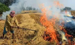 सरकार का प्रदूषण के खिलाफ बड़ा एक्शन- 24 अफसर किये सस्पेंड सरकार का प्रदूषण के खिलाफ बड़ा एक्शन- 24 अफसर किये सस्पेंड