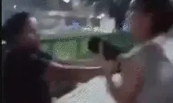 कुत्ता टहलाने को लेकर विवाद- बेलगाम लड़की ने बुजुर्ग को जड़ा थप्पड़ कुत्ता टहलाने को लेकर विवाद- बेलगाम लड़की ने बुजुर्ग को जड़ा थप्पड़