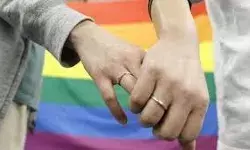 हाईकोर्ट ने समलैंगिक विवाह पर प्रतिबंध को बताया अंसवैधानिक
