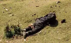 श्रीनगर एवं बांदीपोरा में मुठभेड़ जारी- अनंतनाग में दो आतंकी ढेर