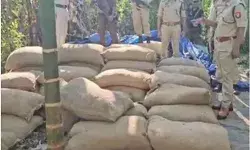 सजगता से मिली कामयाबी- तीन ट्रकों में ले जाई जा रही ढाई करोड़ की.... सजगता से मिली कामयाबी- तीन ट्रकों में ले जाई जा रही ढाई करोड़ की....