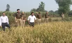 कलेक्टर-कप्तान के सामने राजस्व विभाग की टीम ने कराई धान की क्रॉप कटिंग कलेक्टर-कप्तान के सामने राजस्व विभाग की टीम ने कराई धान की क्रॉप कटिंग