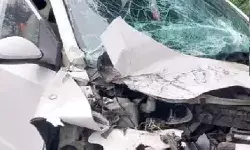 पूर्व विधायक इरफान की मां और बेटियों की गाड़ी ट्रक से टकराई- उडे.... पूर्व विधायक इरफान की मां और बेटियों की गाड़ी ट्रक से टकराई- उडे....