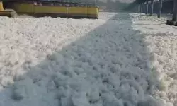 यमुना किनारे छठ पूजा की इजाजत से हाईकोर्ट का इन्कार- बोली अदालत.. यमुना किनारे छठ पूजा की इजाजत से हाईकोर्ट का इन्कार- बोली अदालत..