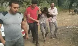 दो कैदियों ने ब्रेक की जेल- रस्सी और सीढी की मदद से हुए फरार- 15 फीट.. दो कैदियों ने ब्रेक की जेल- रस्सी और सीढी की मदद से हुए फरार- 15 फीट..