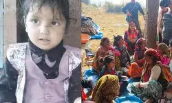 स्कूल से लौट रहे भाई बहन पर ततैयों का हमला- 4 साल के भाई की मौत