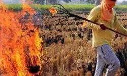 पराली जलाने पर किसानों पर लगा जुर्माना-अब सम्मान निधि से भी होंगे वंचित पराली जलाने पर किसानों पर लगा जुर्माना-अब सम्मान निधि से भी होंगे वंचित