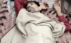 तेज रफ्तार ट्रक ने भैंसा बुग्गी में मारी टक्कर- ड्राइवर गाड़ी समेत....