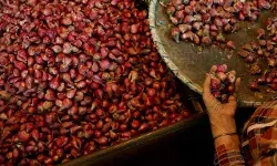 महंगाई ने सरकार को बनाया कारोबारी- खुद बेचेगी चावल, दाल व प्याज