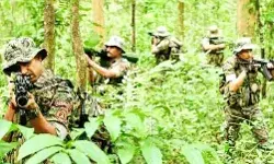 गोलियों की तड़तड़ाहट से गूंजा सुकमा- एनकाउंटर में मार गिराए 10 नक्सली