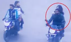 घर के बाहर से लड़कियों ने डॉगी को उठाया- पेट शॉप पर बेचने पहुंची तो... घर के बाहर से लड़कियों ने डॉगी को उठाया- पेट शॉप पर बेचने पहुंची तो...