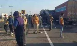 स्कूली बच्चों से भरी बस हाईवे पर खड़े ट्रेलर से टकराई- जानिए क्या हुआ स्कूली बच्चों से भरी बस हाईवे पर खड़े ट्रेलर से टकराई- जानिए क्या हुआ