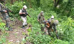 मिली कामयाबी- सर्च ऑपरेशन में हथियारों का बड़ा जखीरा बरामद मिली कामयाबी- सर्च ऑपरेशन में हथियारों का बड़ा जखीरा बरामद