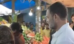 मंडी पहुंचे राहुल गांधी के सब्जियों के दाम सुनकर उड़ गए होश मंडी पहुंचे राहुल गांधी के सब्जियों के दाम सुनकर उड़ गए होश