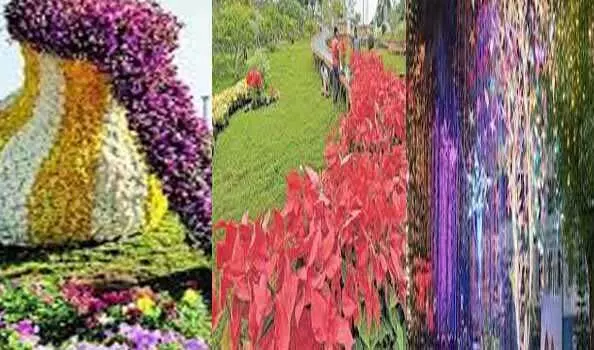 क्रिसमस, नए साल के जश्न के लिए पुष्प प्रदर्शनी, प्रकाश उत्सव का आयोजन