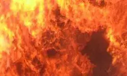 आग लगने से इतनी दुकानें जलीं, एक दमकलकर्मी हुआ जख्मी आग लगने से इतनी दुकानें जलीं, एक दमकलकर्मी हुआ जख्मी