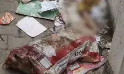 घर से दुकान के लिए निकली बच्ची का किडनैप के बाद मर्डर- स्कूल में... घर से दुकान के लिए निकली बच्ची का किडनैप के बाद मर्डर- स्कूल में...