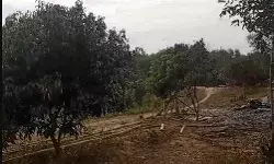 क्रिसमस पर टूटा कहर- जलायें ईसाइयों के घर- त्योहार मनाने गए थे... क्रिसमस पर टूटा कहर- जलायें ईसाइयों के घर- त्योहार मनाने गए थे...