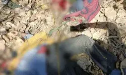 बॉर्डर पर हुई मुठभेड़ में 3 नक्सली हुए ढेर- ऑटोमेटिक हथियार बरामद बॉर्डर पर हुई मुठभेड़ में 3 नक्सली हुए ढेर- ऑटोमेटिक हथियार बरामद