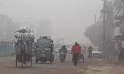 अस्थि विसर्जन करने जा रहे लोगों की मिनी बस पलटी- महिला की मौत