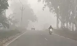 घने कोहरे और तेज हवाओं में बढाई गलन भरी सर्दी जनजीवन प्रभावित