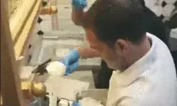 मोची के बाद बावर्ची बने राहुल गांधी ने आइसक्रीम शॉप पर कोल्ड कॉफी बनाई